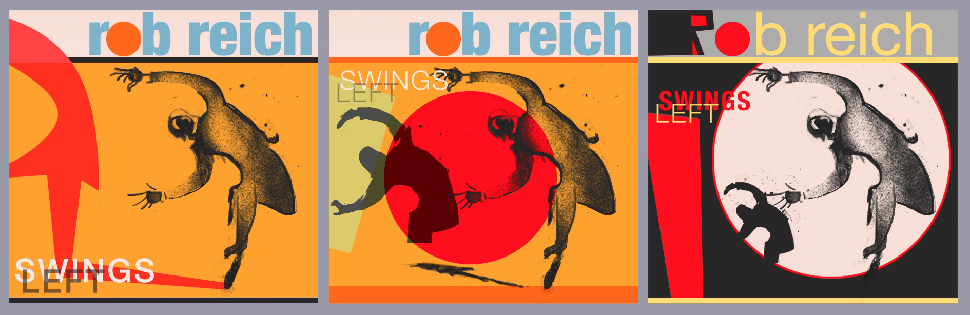 Rob Reich Album Cover Design Variations